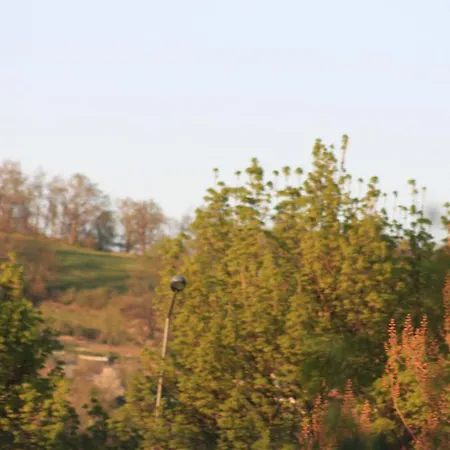 Logis Restaurant De La Dore 3*